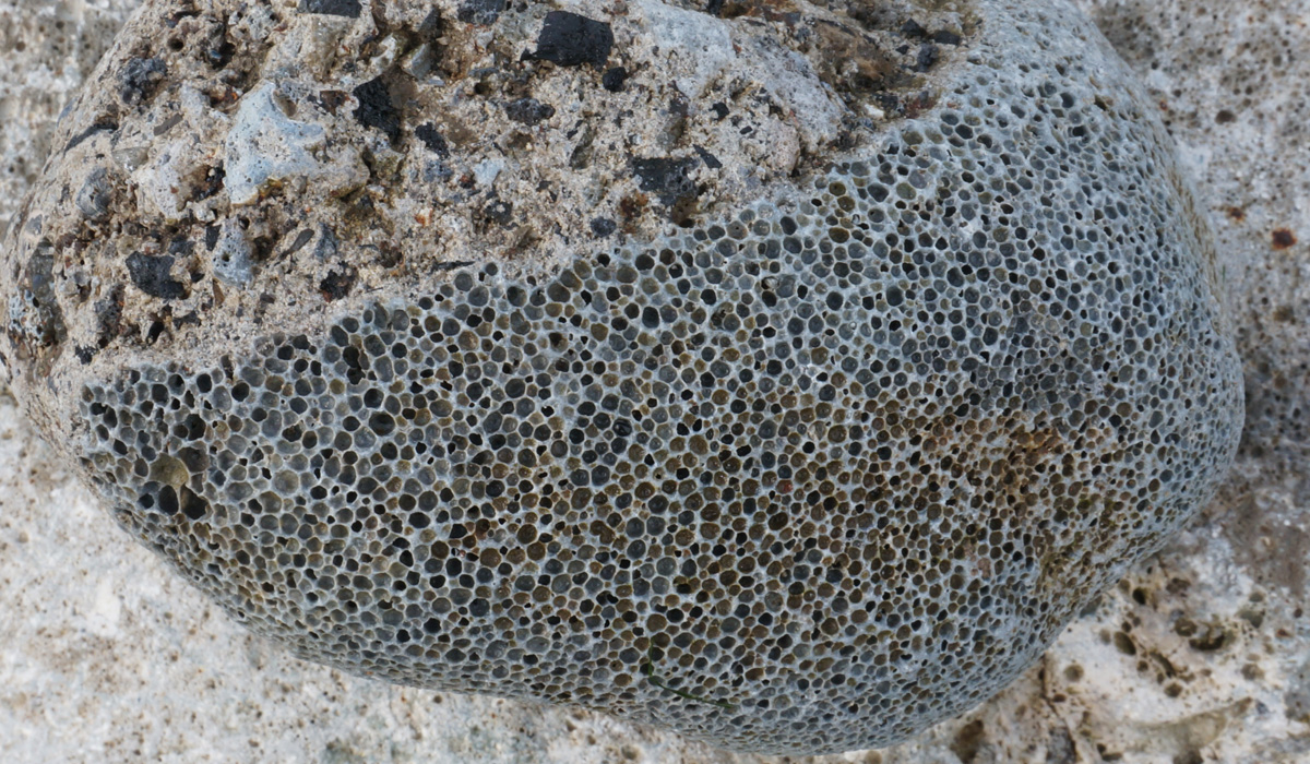 Texture2