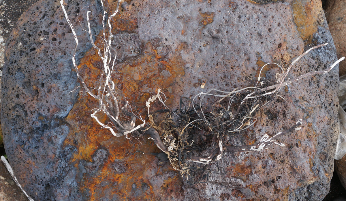 Texture3