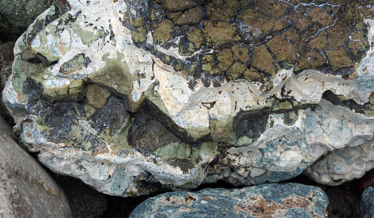 Texture4